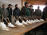 Trophäen allein sind keine Erfolgsmaßstab