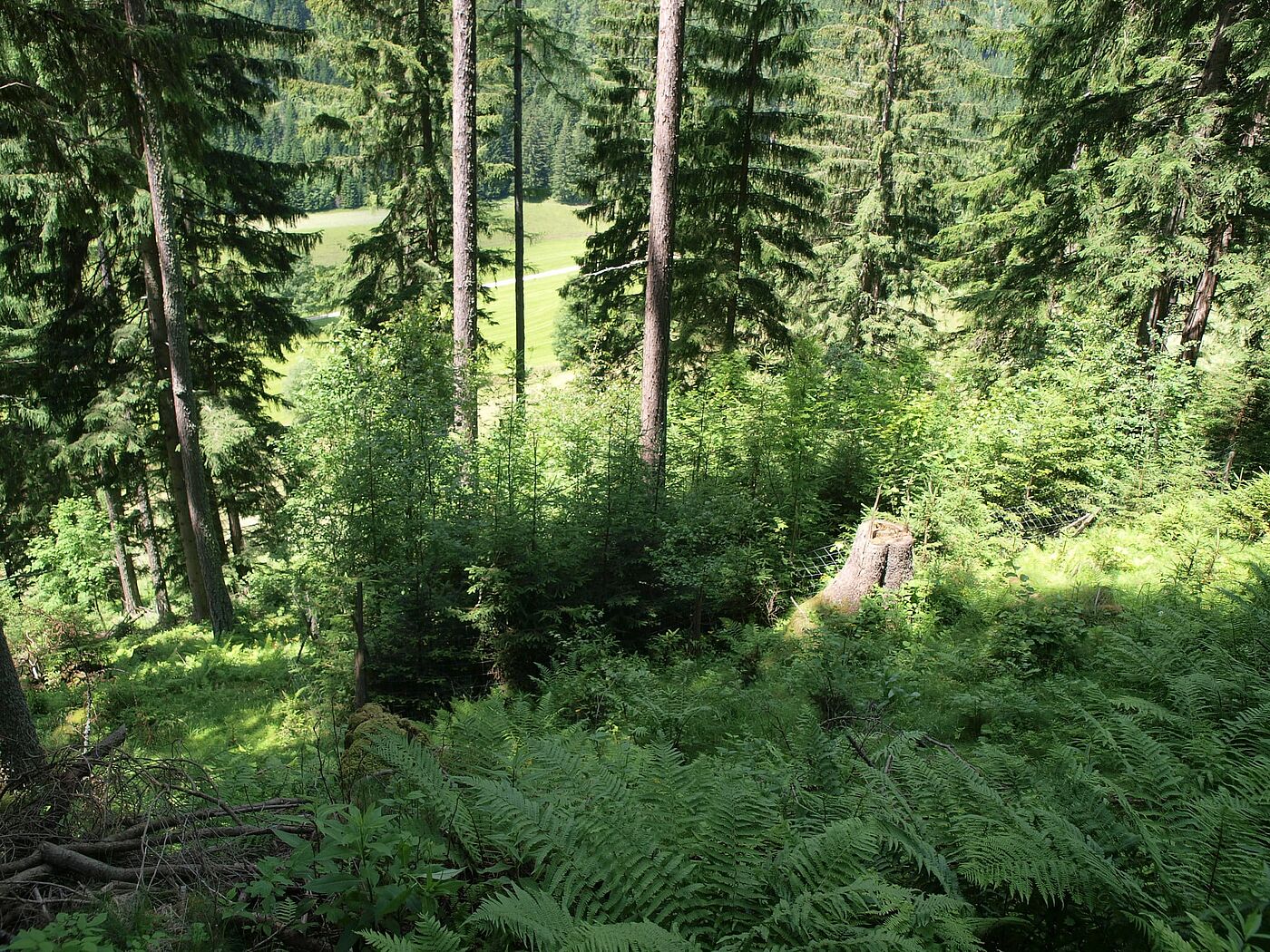 Kontrollzaun zeigt das Potenzial