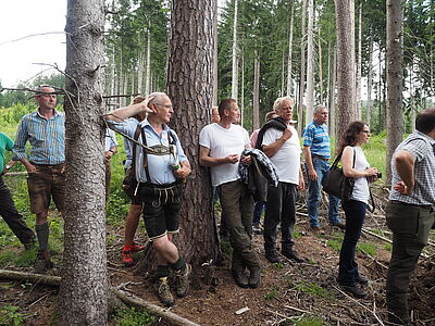 Wald-Wild (c) Eckart Senitza