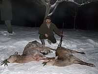 Freude über Kahlwildabschuss 