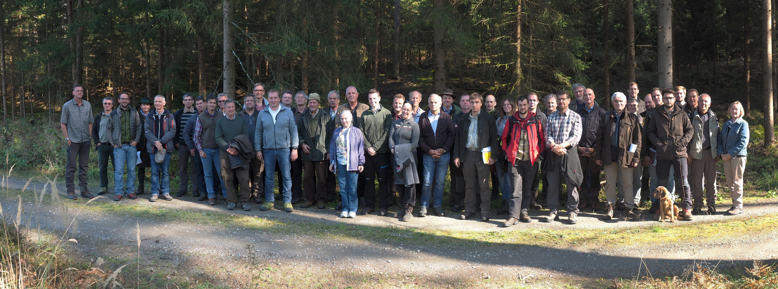 Gruppe im Wolschartwald